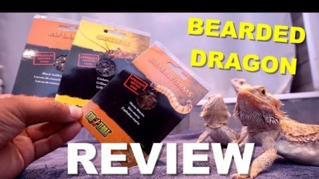'Feeding All My Bearded Dragons Exo Terra\'s New Reptile Food | Review'