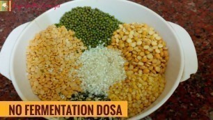 'No Fermentation Dosa | Multigrain Dosa | Healthy Protein rich Breakfast recipe in tamil'