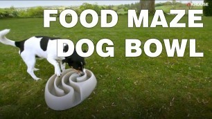 'Food Maze Dog Bowl - How To Get Your Dog To Eat Slower'
