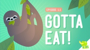 'Gotta Eat! - Crash Course Kids 1.1'