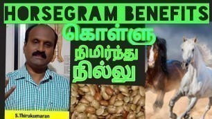 'MIRACLE BENEFITS OF HORSE GRAM/TAMIL . கொல்லுவின் மகத்தான மருத்துவ குணங்கள் ।'