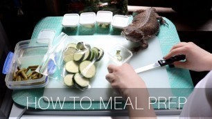 'HOW TO MEAL PREP FOR YOUR LIZARD // Bearded Dragon and Crested Gecko'