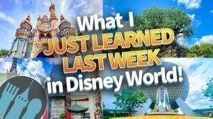 'I Just Went to Disney World and Here’s What I Learned'