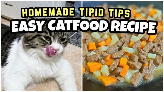 'Cat food home recipe | Paano makakatipid sa budget para sa pagkain ng mga alagang pusa'