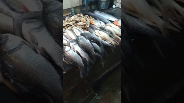 'Wuhan fish market,,,'