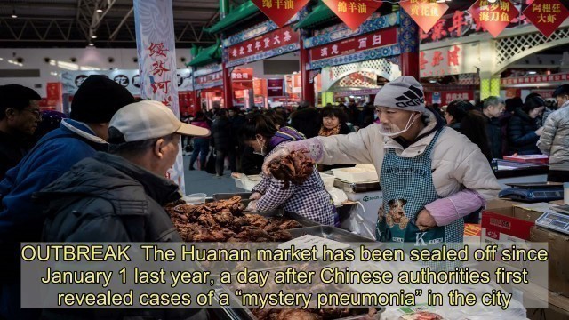 'China \'knew Wuhan market could spark pandemic five YEARS before Covid\''