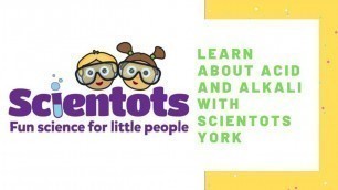 'Scientots York learn about acid and alkali with a red cabbage experiment'