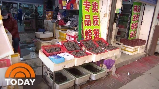 'WHO Scientist: Wuhan Wet Market Likely Played Role In Coronavirus Development | TODAY'