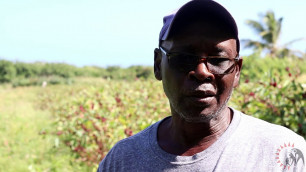 'Caribbean people are eating more local fresh food'