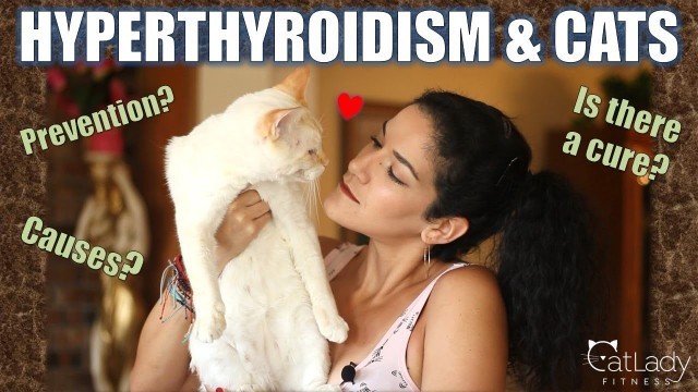 'Does your cat have HYPERTHYROIDISM (you\'ll never believe where it may be from!) - Cat Lady Fitness'