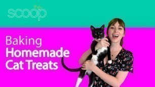 'Baking Homemade Cat Treats | The Scoop'