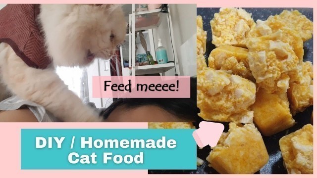 'Ep. 5 | Homemade Cat Food | Shopee Pet Supplies'