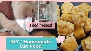 'Ep. 5 | Homemade Cat Food | Shopee Pet Supplies'