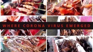 'Dare to watch Wuhan market from where Corona virus emerged.'