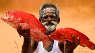 'Red Snapper !!! FRIED Red Snapper prepared by my Daddy Arumugam / Village food factory'