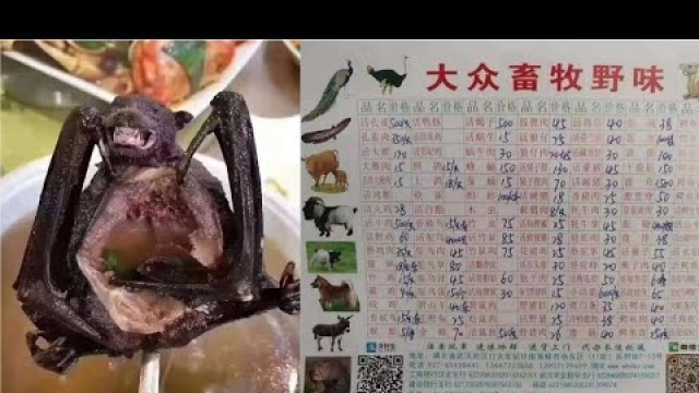 'Wuhan China Exotic foods source of Corona virus | Wuhan market wild animal'