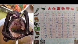 'Wuhan China Exotic foods source of Corona virus | Wuhan market wild animal'
