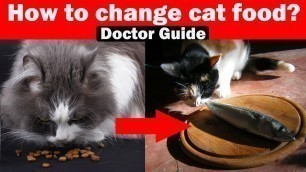 'How To Shift Dry Food To Homemade Cat Food | In Urdu | Tips and guidelines | Vet Furqan Younas'