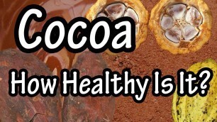 'Cocoa - What is Cocoa processed with Alkali - Cocoa Beans And Cocoa Butter'