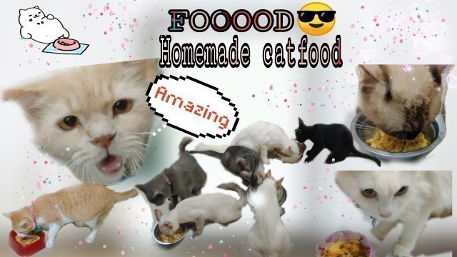 'DIY HOMEMADE CATFOOD | MILKY & FRIENDS EDITION'