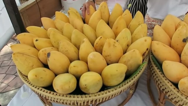 'Thai Fresh Mango with Sticky Rice - Thai Sticky Rice - Thailand Street Food'