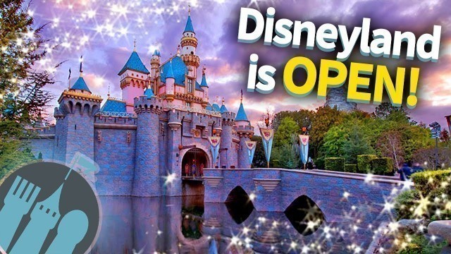 'Disneyland is OPEN!'