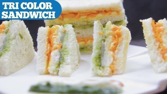 'TRI COLOR SANDWICH Recipe || Wirally Food'