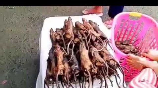 'CHINA _ ( WUHAN ) _ WILD ANIMALS FOOD MARKET... VIRUS !!!   مطاعم السوق الصيني للحيوان المتوحشة'