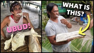 'FILIPINO SURVIVAL FOOD - Eating Coconut Tree - STRANGE SNACK PHILIPPINES'