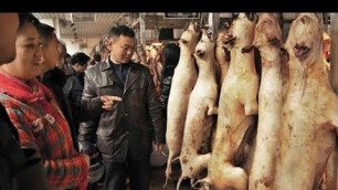 'एशिया का सबसे डरावना बाज़ार।#Wuhan #china #market'