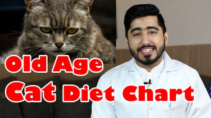'Homemade- Cat Food For Older Cats | How to Choose? | Vet Furqan Younas'