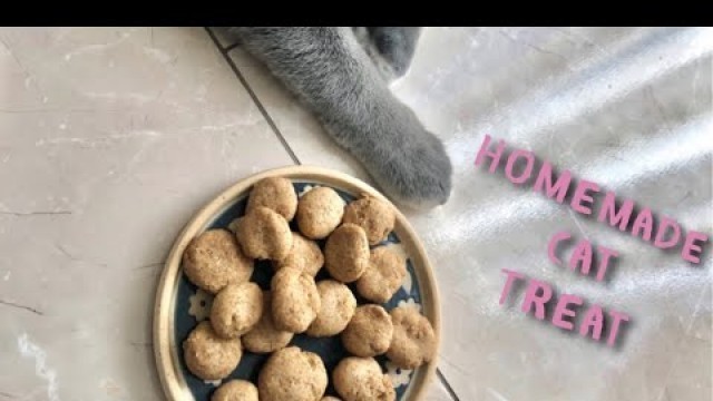 'Cat\'s Favorite Tuna Cookies (Homemade Cat Treats) - Episode 436 - Baking with Eda'