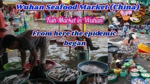 'Wuhan Seafood Market (China)'