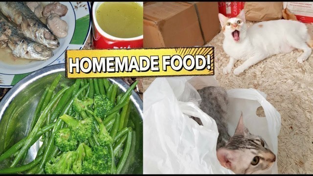 'DIY HOMEMADE Healthy CAT FOOD | Will They Love it or NOT? 