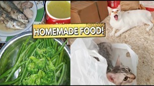 'DIY HOMEMADE Healthy CAT FOOD | Will They Love it or NOT? 