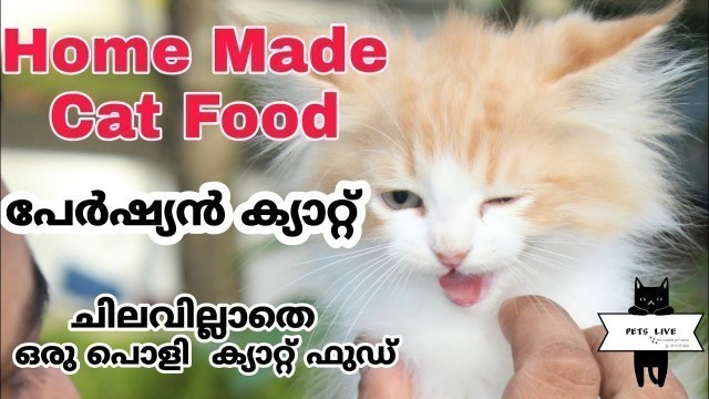 'Home made cat food | Cat food | Percian cat | Pets Live | cat chicken food |'