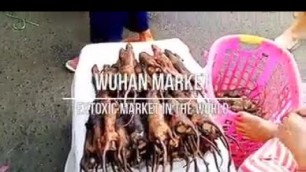 'A walk through Wuhan Food Market ⚠️ This is the market where the Corona Virus May have started.'