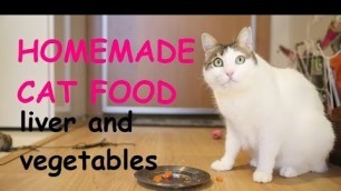 'homemade cat food - liver and vegetables ... ev yapımı kedi maması'
