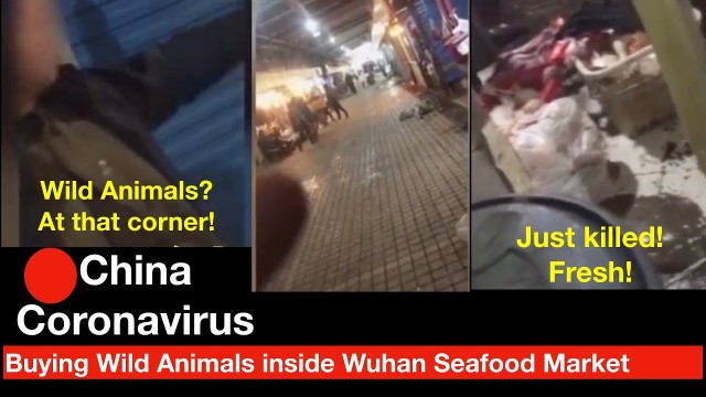 'China Coronavirus: Reporters Uncover recording buying wild animals inside Wuhan Seafood Market'