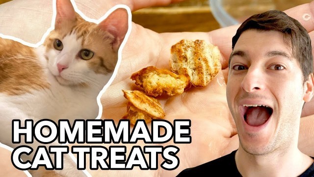 'Easy Homemade Cat Treats (2 Ingredient)!!'