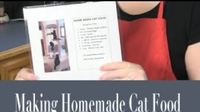 'Purr View TV Show: Ep 12 \'Making Homemade Cat Food\' 2015'
