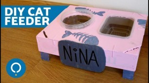 'DIY Cat Food Bowl 
