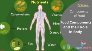 'Class 6 Science Chapter 2 Components of Food - Food Components and their Role in Body'