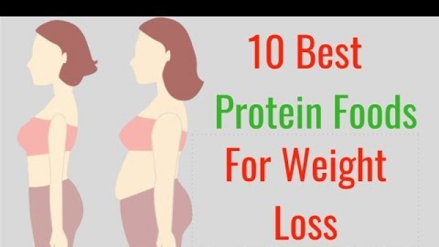 '10 Best Protein Foods for Weight Loss (Foods That Help You Lose Weight)'