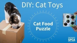'DIY Cat Food Puzzle'
