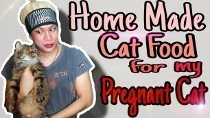 'HOW TO MAKE HOME MADE CAT FOOD |MY PREGNANT CAT| VLOG #02 |DANIELA DIVA'