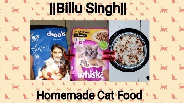'Homemade Cat Food  ||drools||  ||whiskas||  ||billusingh||'
