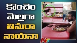 'Man and Bird Eat Food In Same Plate l Heart Touching Video l Viral Video | NTV'