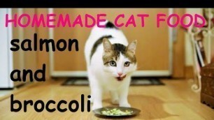 'homemade cat food - salmon and broccoli ... ev yapımı kedi maması'