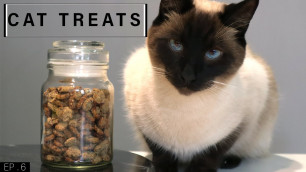 'Home Made Cat Treats'